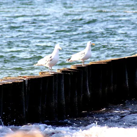 Ferienwohnung, Ostseebad *